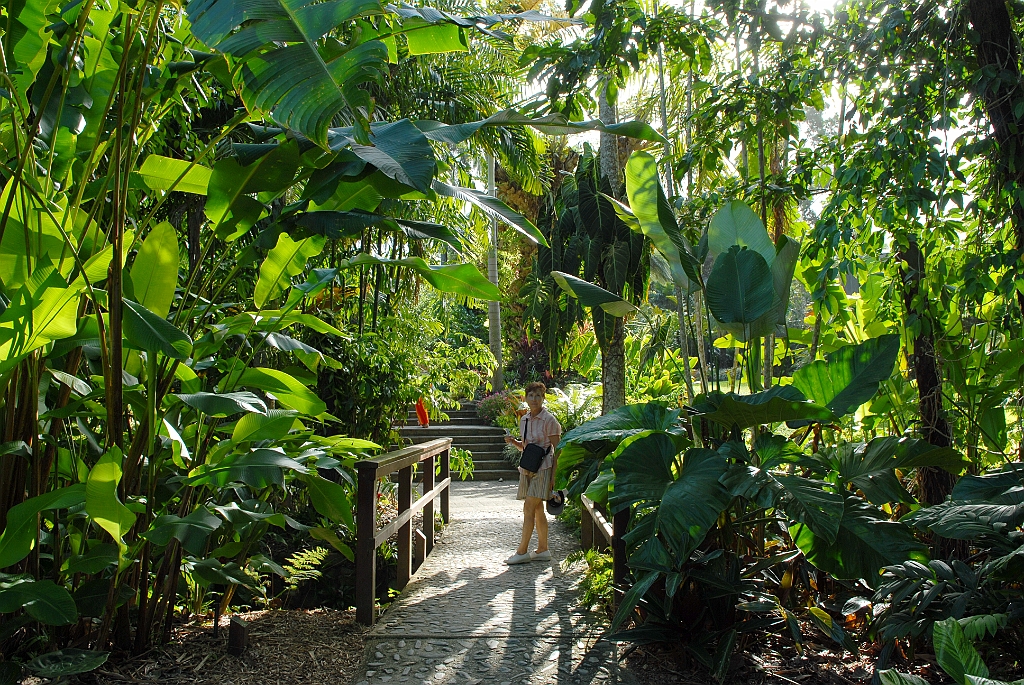 0328 Cairns Botanic Gardens.jpg